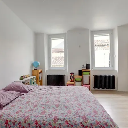 Agreable Maison De Ville, Jardin, Parking Gratuit * アルビ