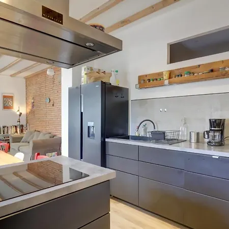 Agreable Maison De Ville, Jardin, Parking Gratuit * アルビ